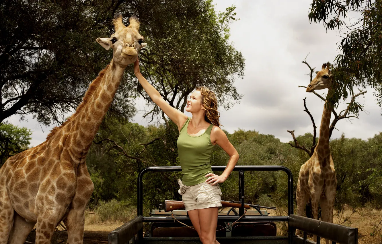 Photo wallpaper giraffe, actress, Giraffes, Amanda Holden, WILD AT HEART