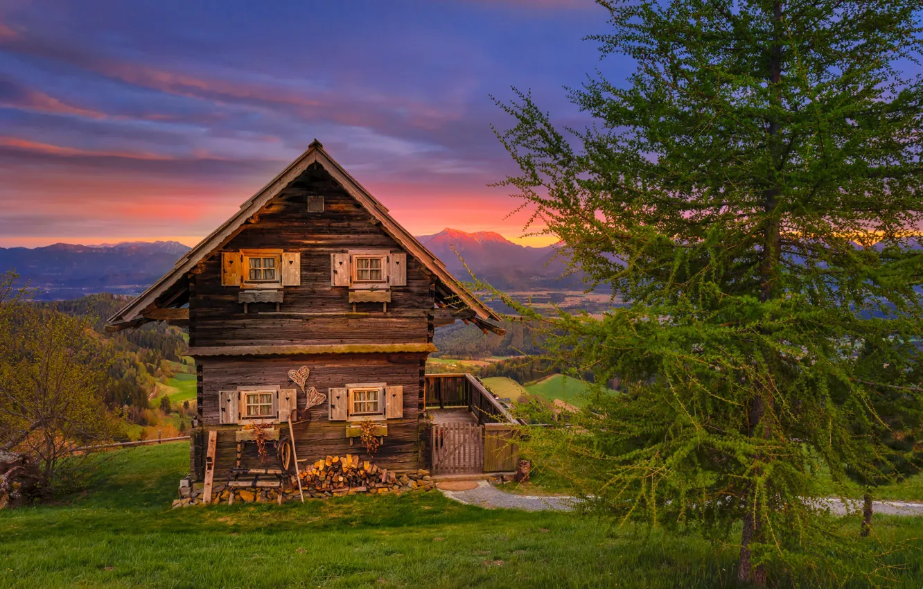 Photo wallpaper greens, field, forest, grass, trees, sunset, mountains, home