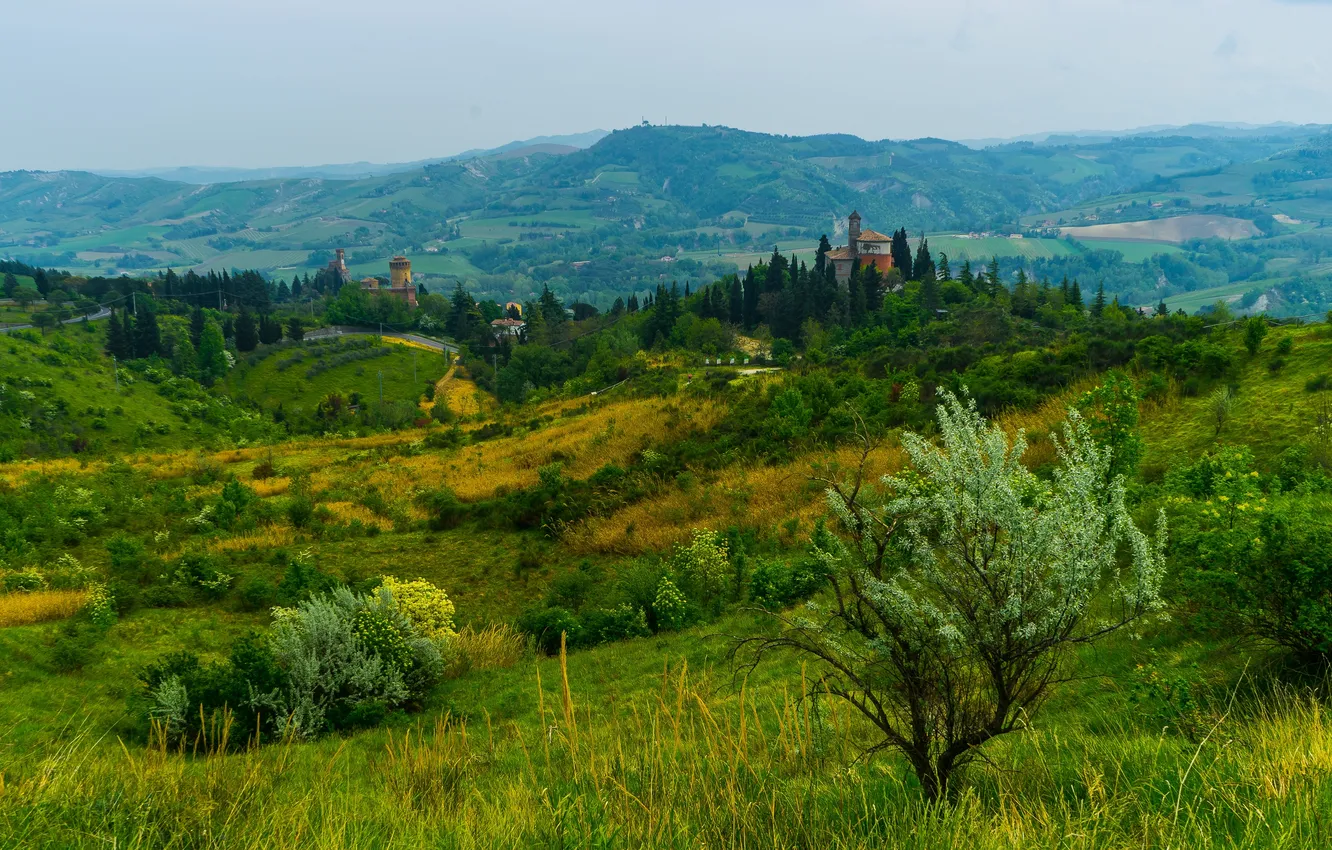 Photo wallpaper field, grass, trees, meadow, space, Italy, the bushes, Brisighella