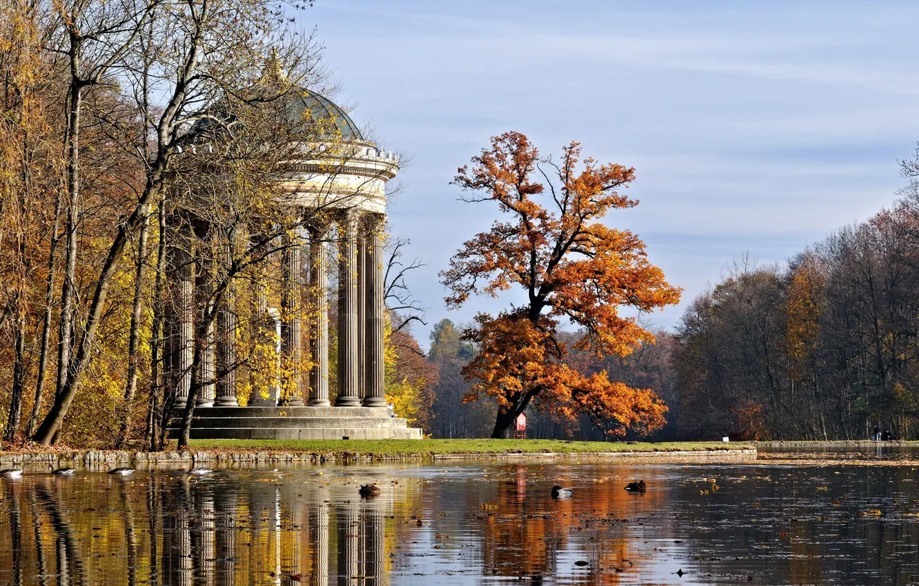 Photo wallpaper forest, trees, nature, lake, pond, Park, arch, columns