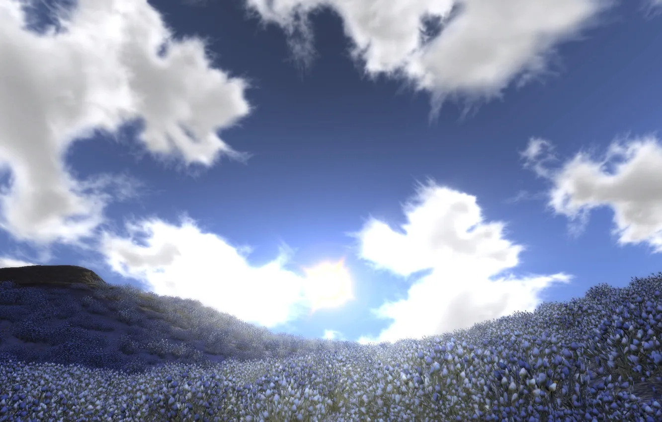 Photo wallpaper the sky, clouds, flowers