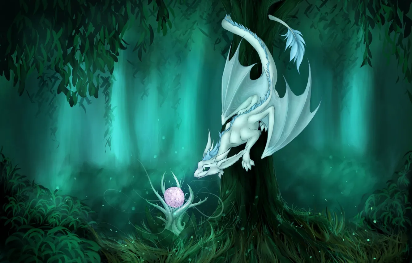 Photo wallpaper forest, look, trees, fiction, dragon, plant, art, tail