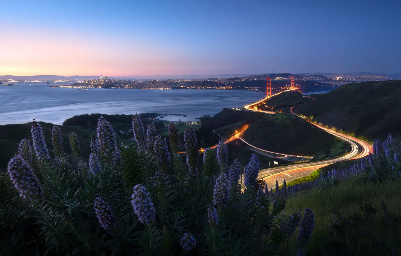 Photo wallpaper flowers, nature, Golden Gate Bridge