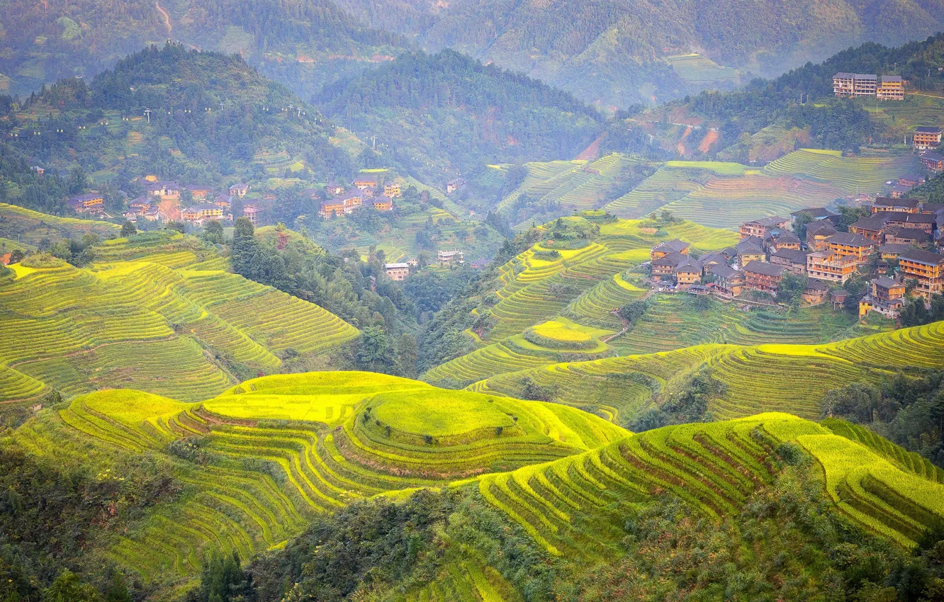 Photo wallpaper mountains, home, slope, China, terrace, tea plantation, Guangxi
