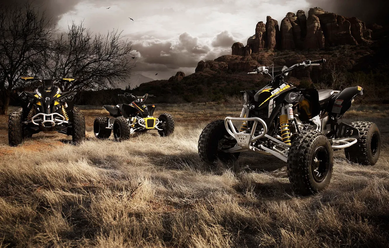 Photo wallpaper Rocks, ATVs, The herd