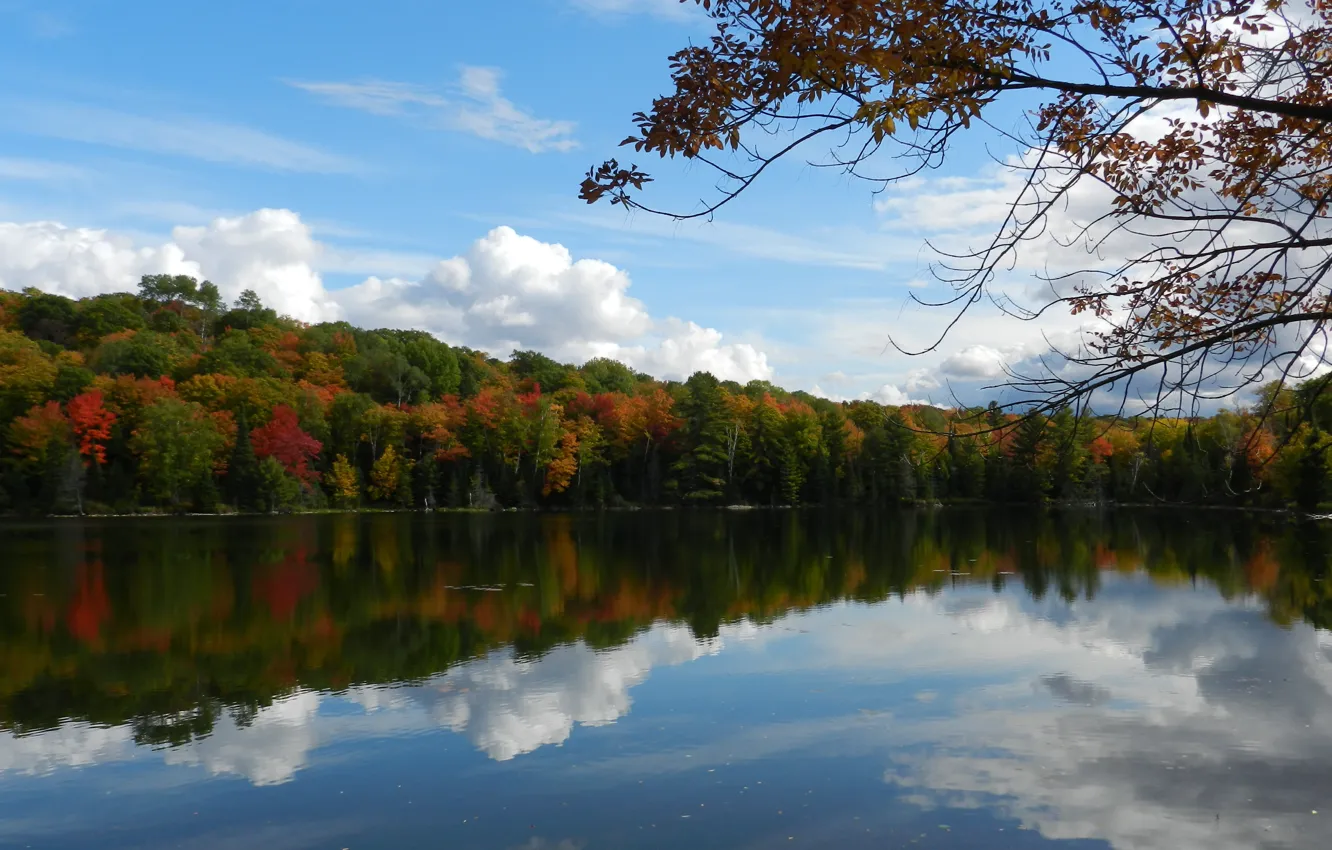 Photo wallpaper nature, autumn, lake