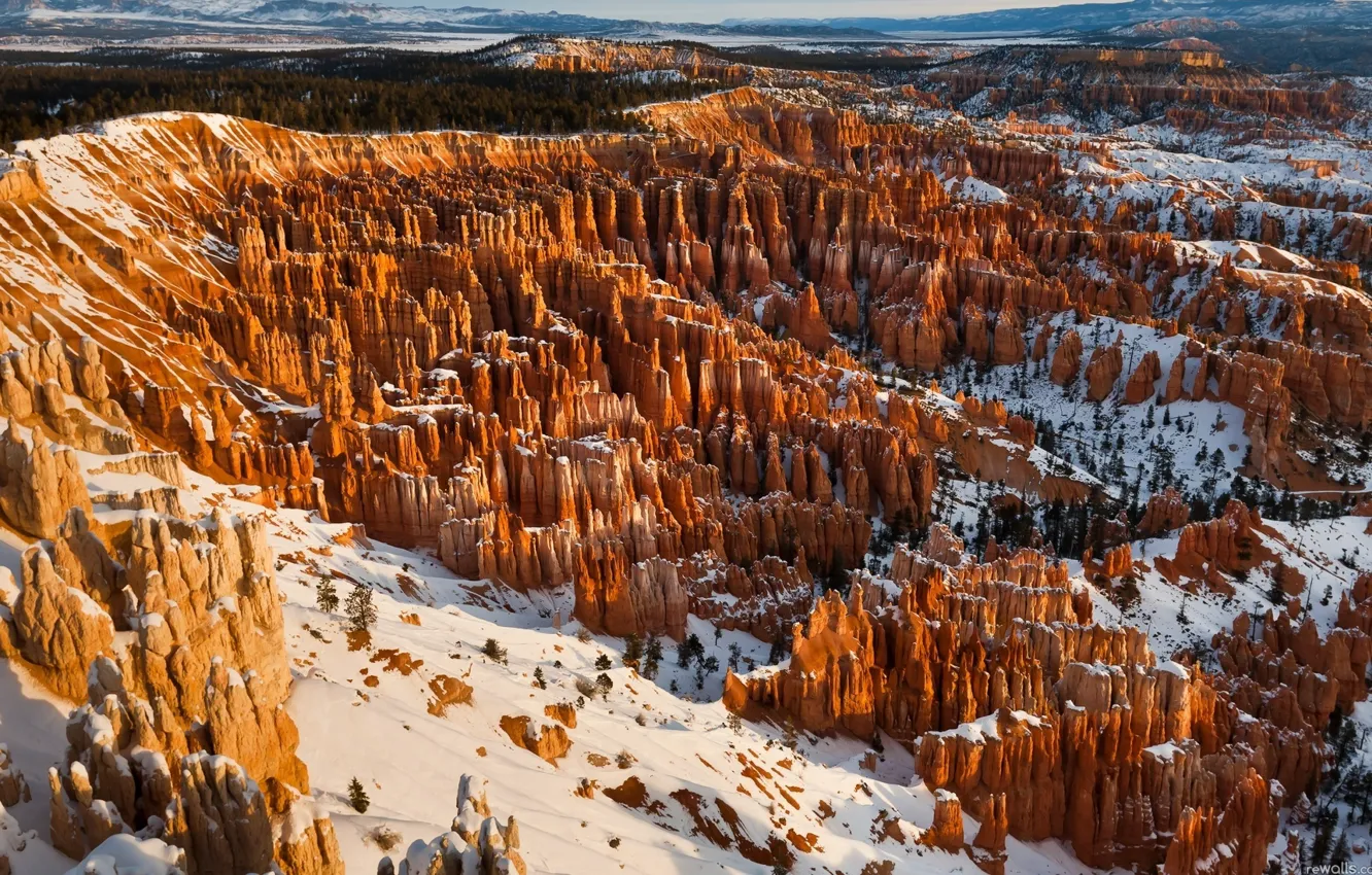 Photo wallpaper wallpaper, desert, nature