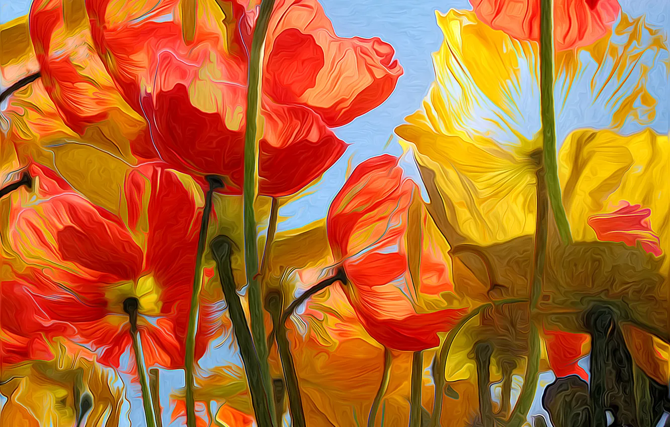 Photo wallpaper the sky, flowers, nature, petals, tulips