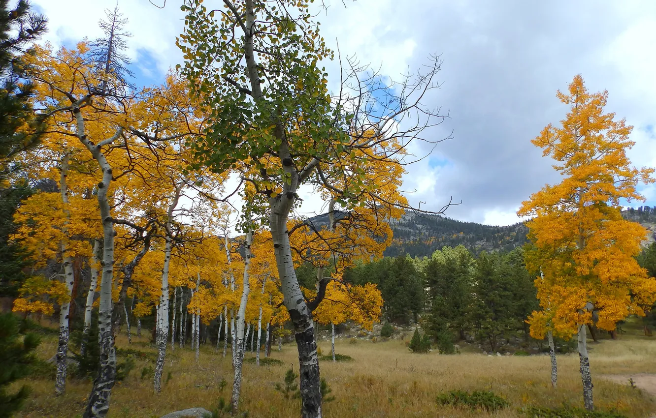 Photo wallpaper autumn, the sky, clouds, trees, mountains