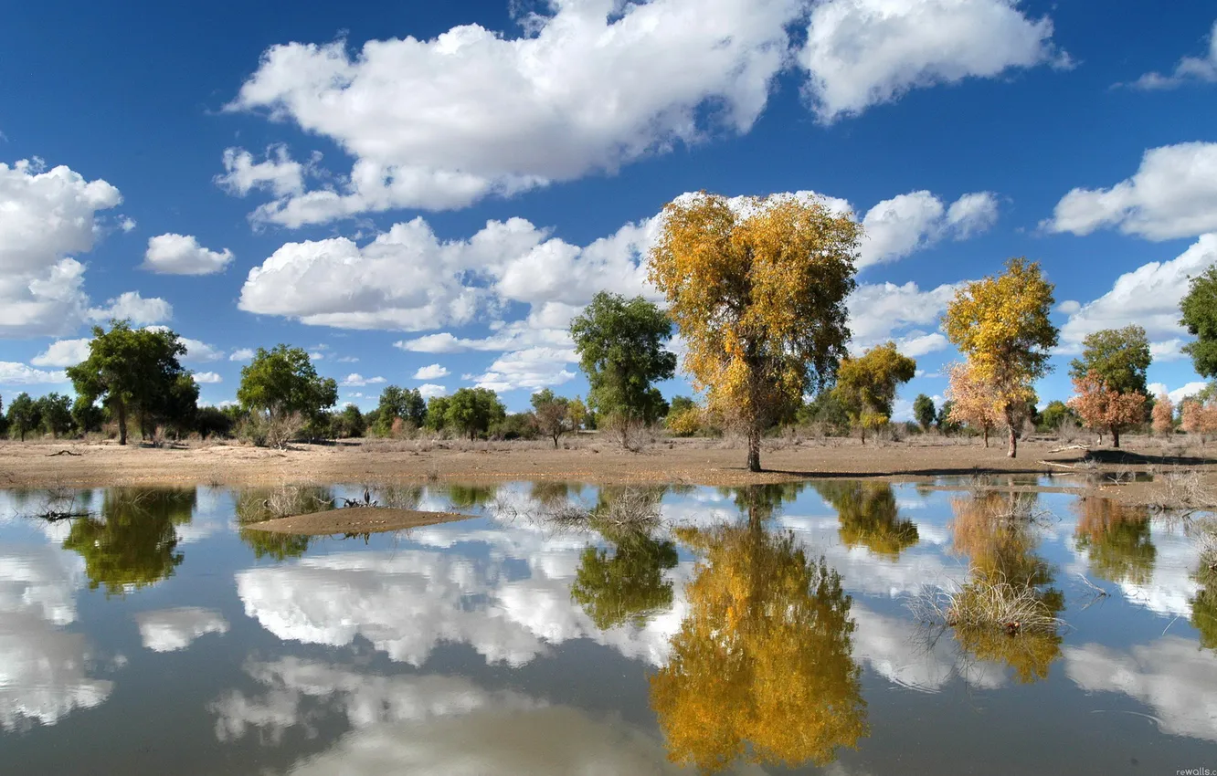 Photo wallpaper autumn, the sky, clouds, trees, landscape, reflection, river