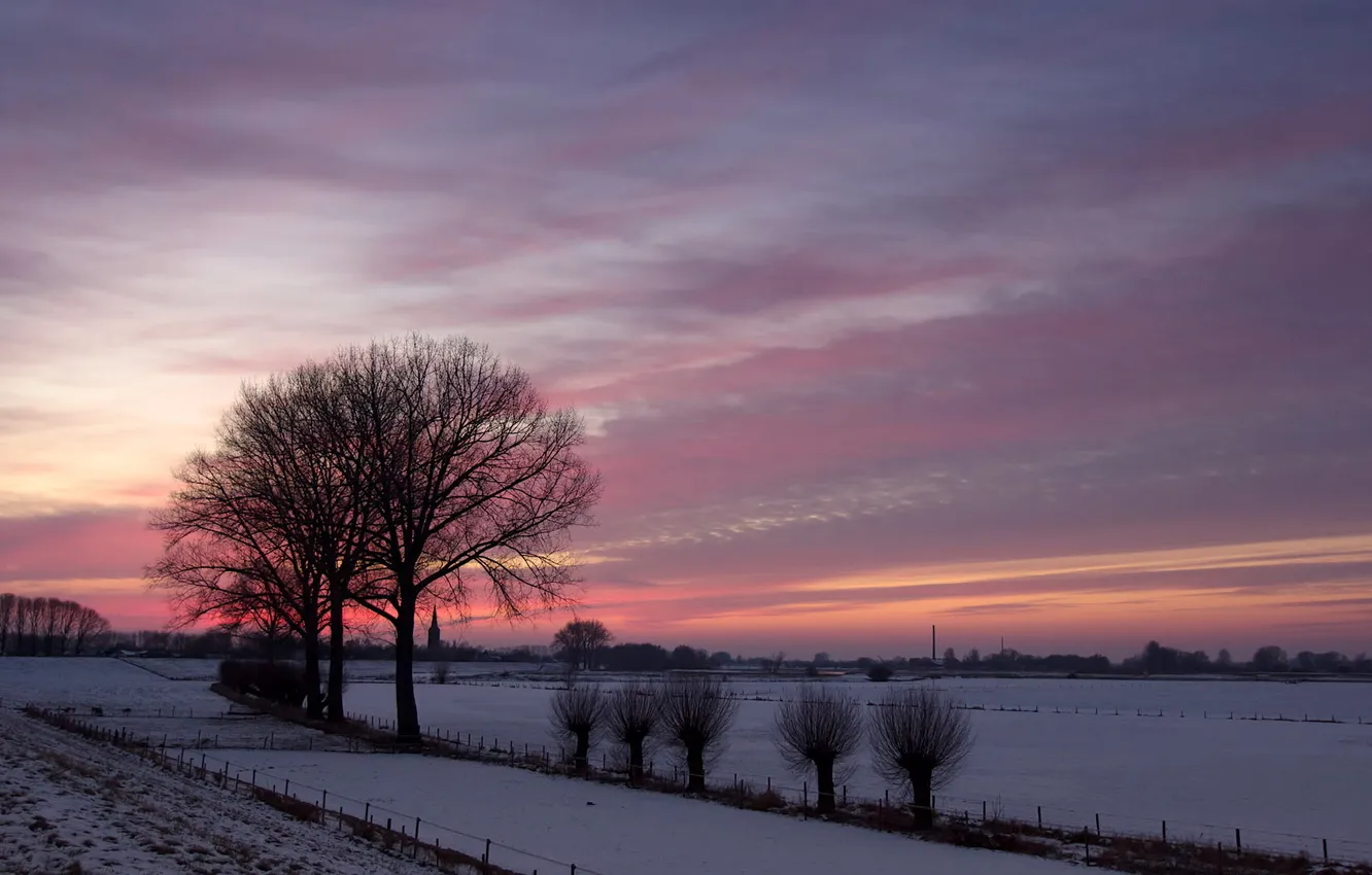 Photo wallpaper winter, field, trees, landscape, sunset, nature