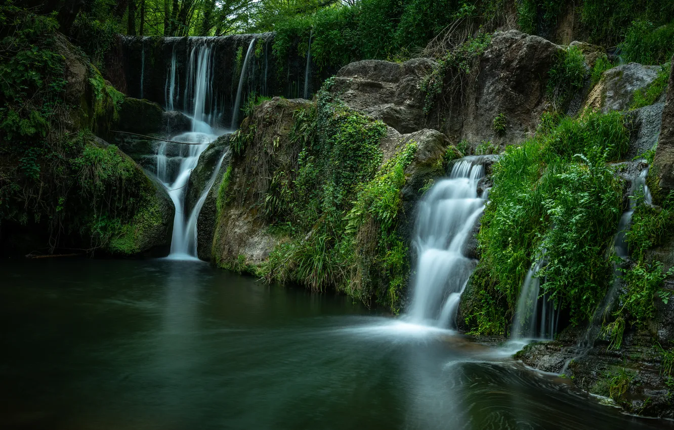 Photo wallpaper forest, nature, river, waterfall