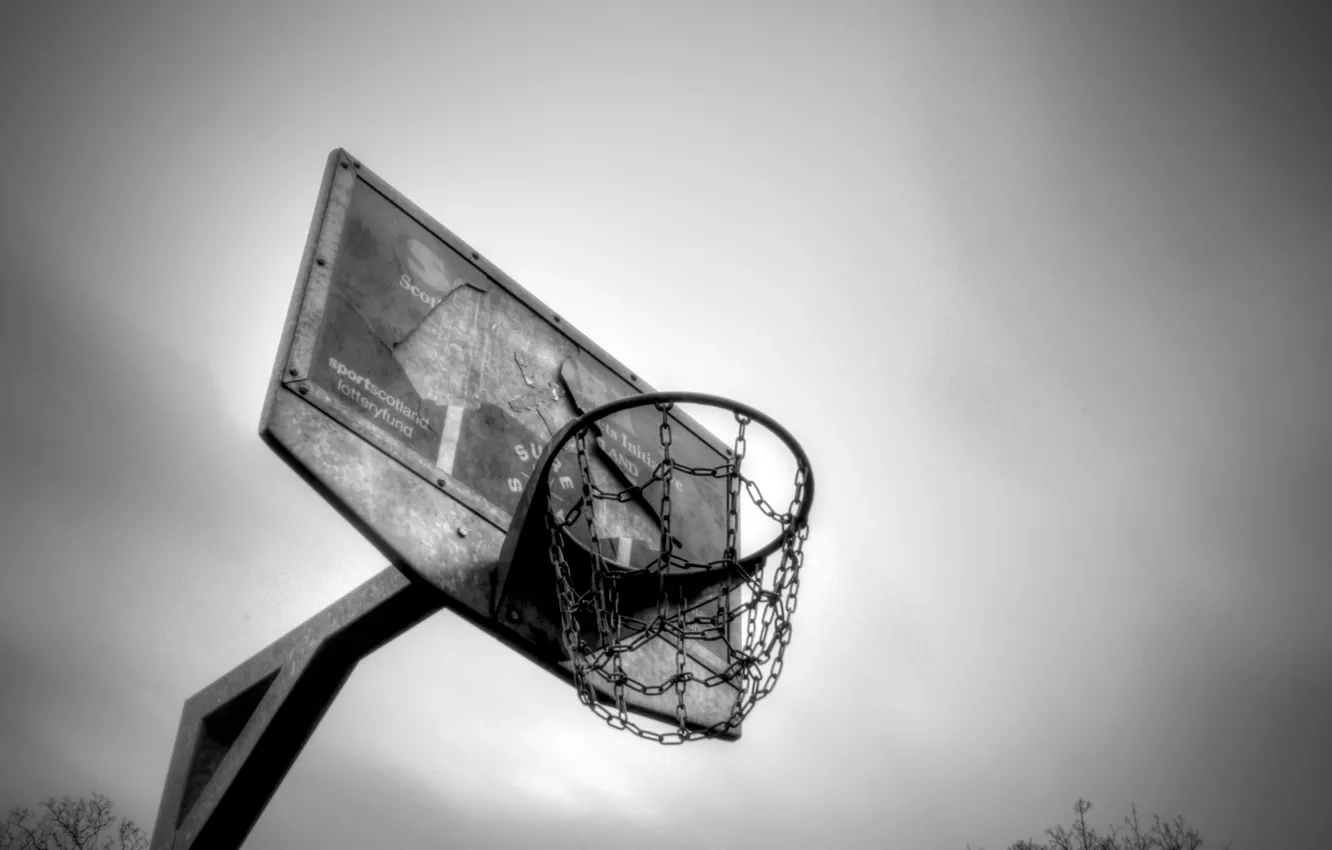 Photo wallpaper sport, ring, shield, basketball