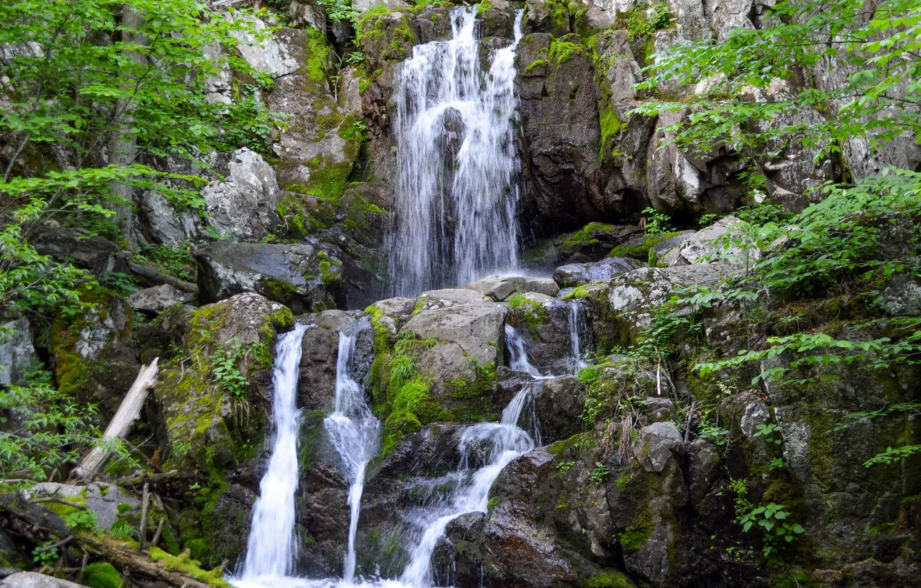 Photo wallpaper rock, stream, waterfall, moss, USA, Shenandoah National Park