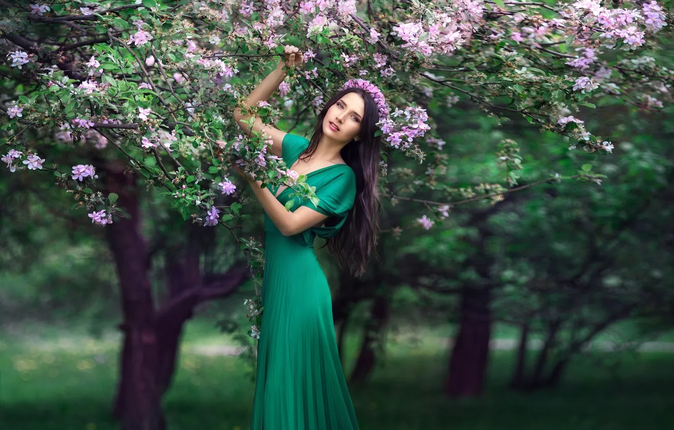 Photo wallpaper trees, spring, dress, brunette, flowering, wreath