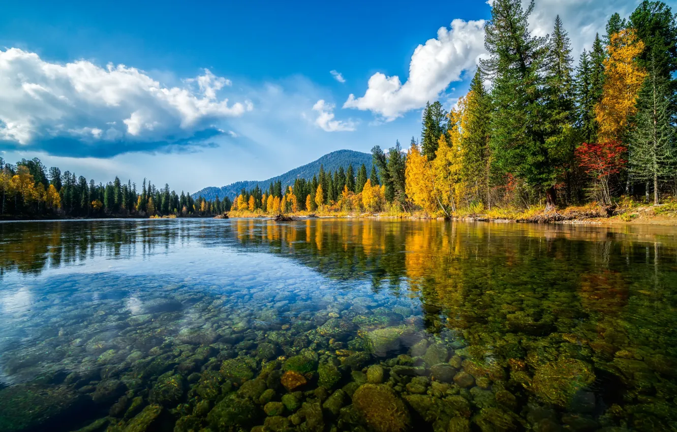 Photo wallpaper autumn, forest, clouds, mountains, lake, reflection, blue, stones