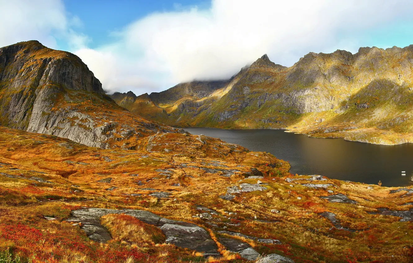 Photo wallpaper autumn, grass, lake, mountain, Norway, Agvatnet
