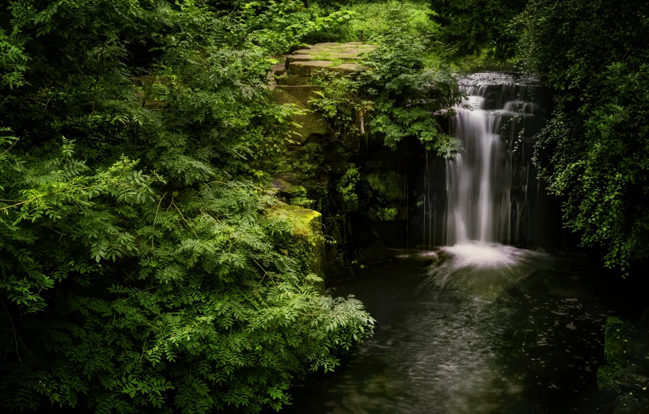 Photo wallpaper forest, water, nature, rocks, waterfall
