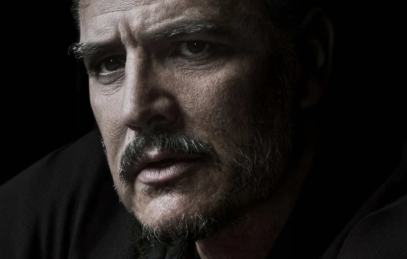 Photo wallpaper look, portrait, the series, poster, The Last of Us, Some of us, Joel, season 2