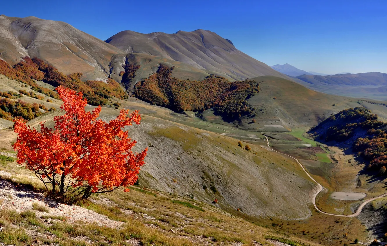 Photo wallpaper road, autumn, mountains, tree, slope