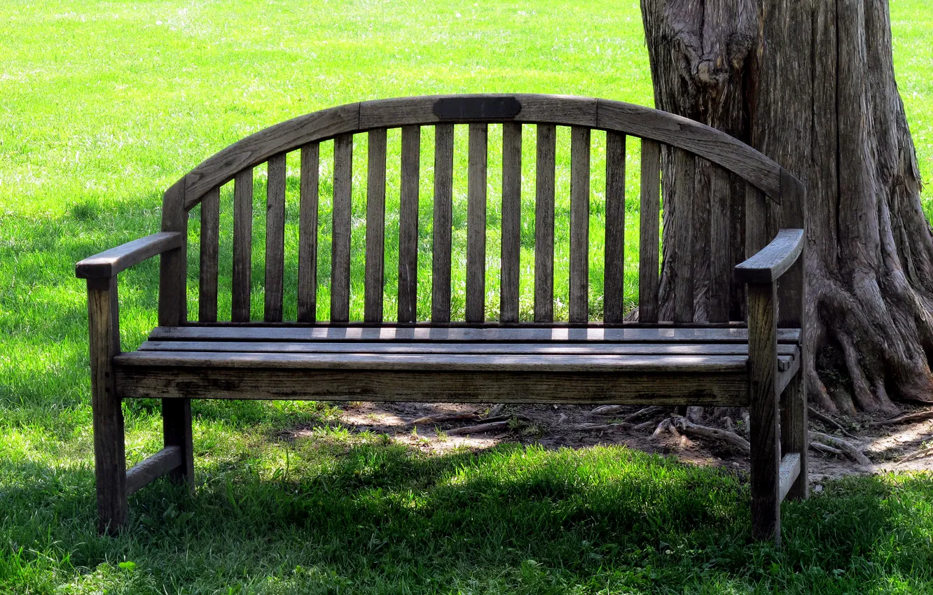 Photo wallpaper summer, grass, trees, bench, glade