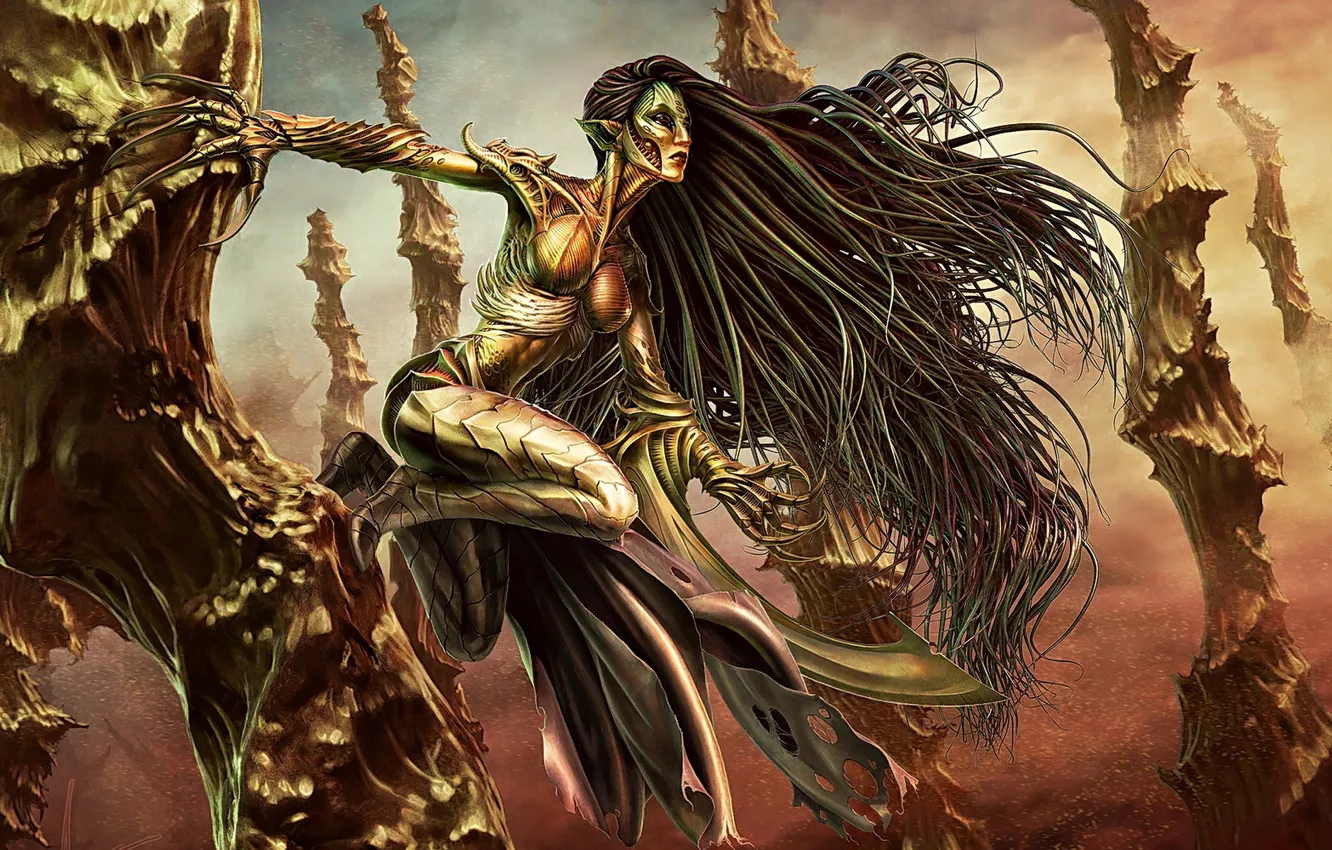 Photo wallpaper girl, rocks, height, armor, claws, blade