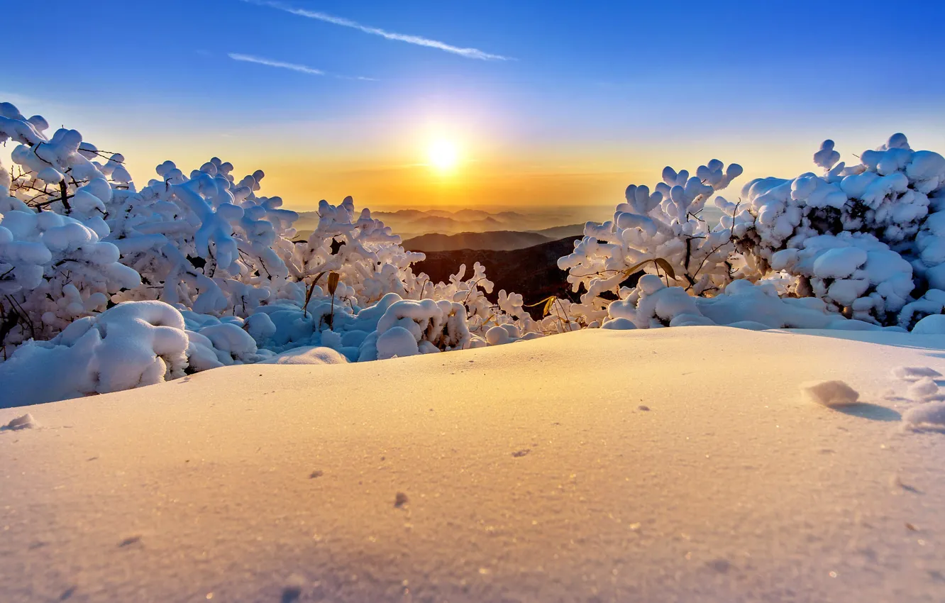 Photo wallpaper winter, the sky, the sun, snow, trees, landscape, mountains, nature