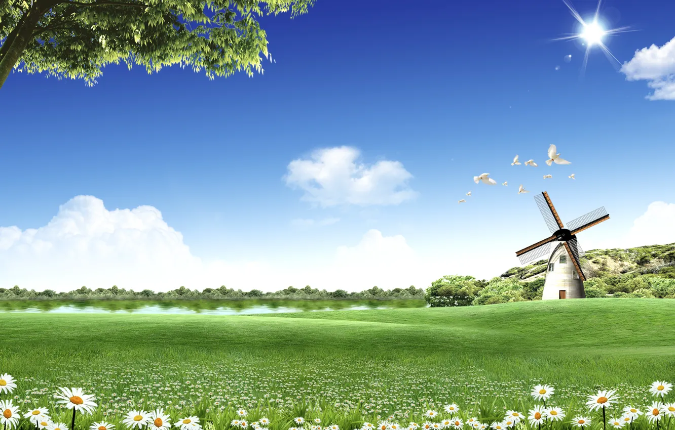 Photo wallpaper windmill, pigeons, Lawn