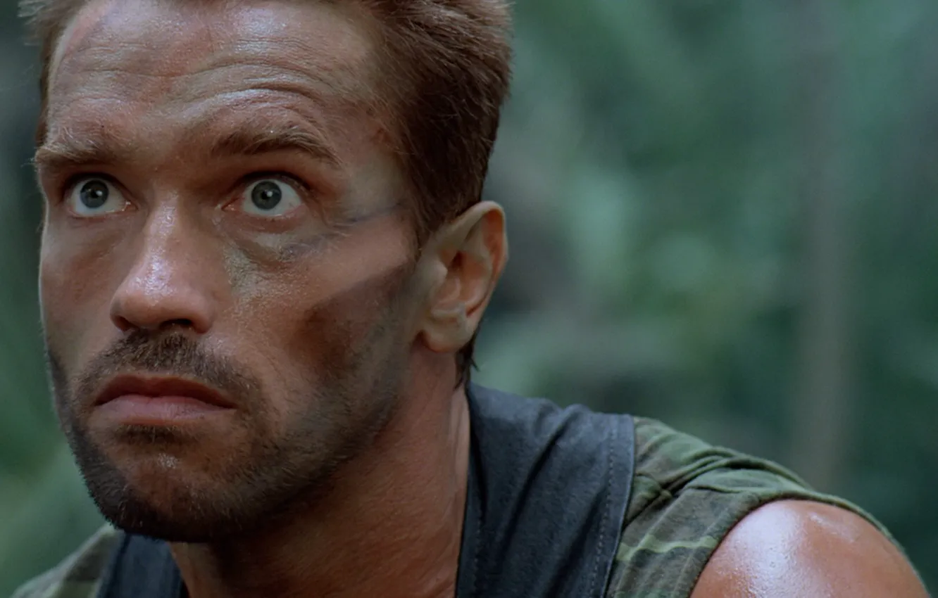 Photo wallpaper cinema, The Beast, soldier, Predator, jungle, man, movie, face