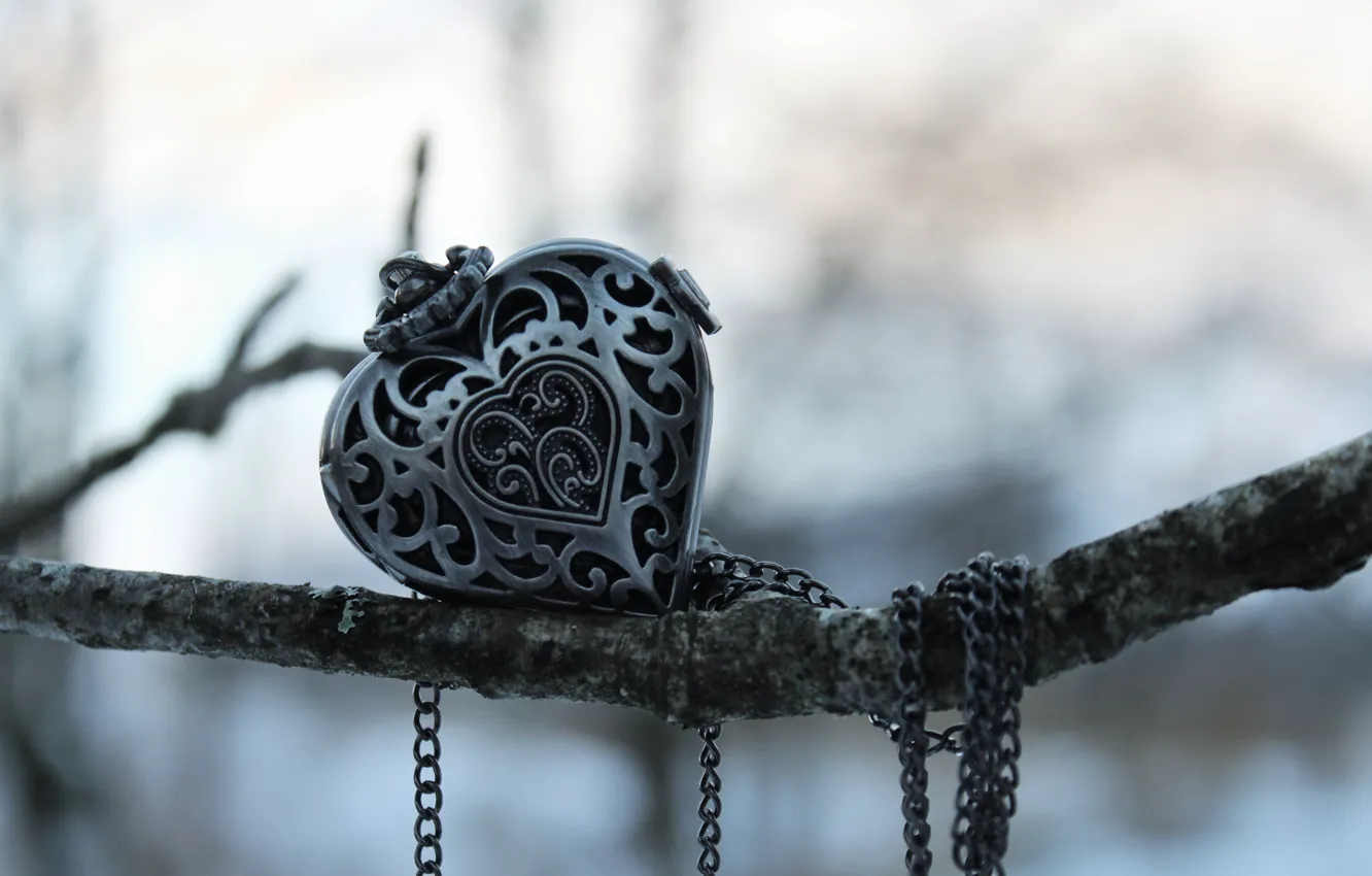 Photo wallpaper heart, branch, pendant, decoration