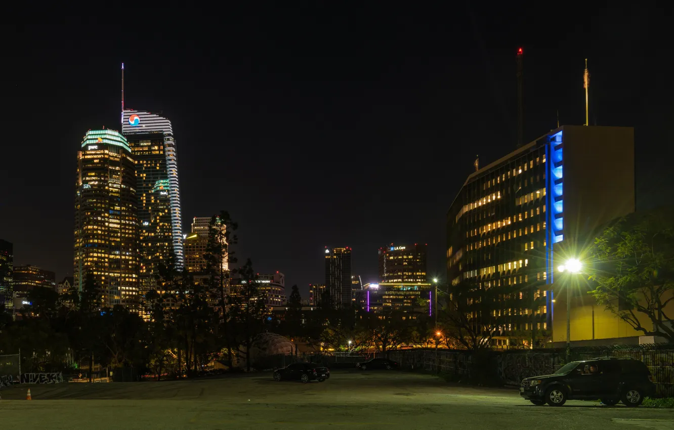 Photo wallpaper trees, night, lights, lawn, building, home, skyscrapers, lights