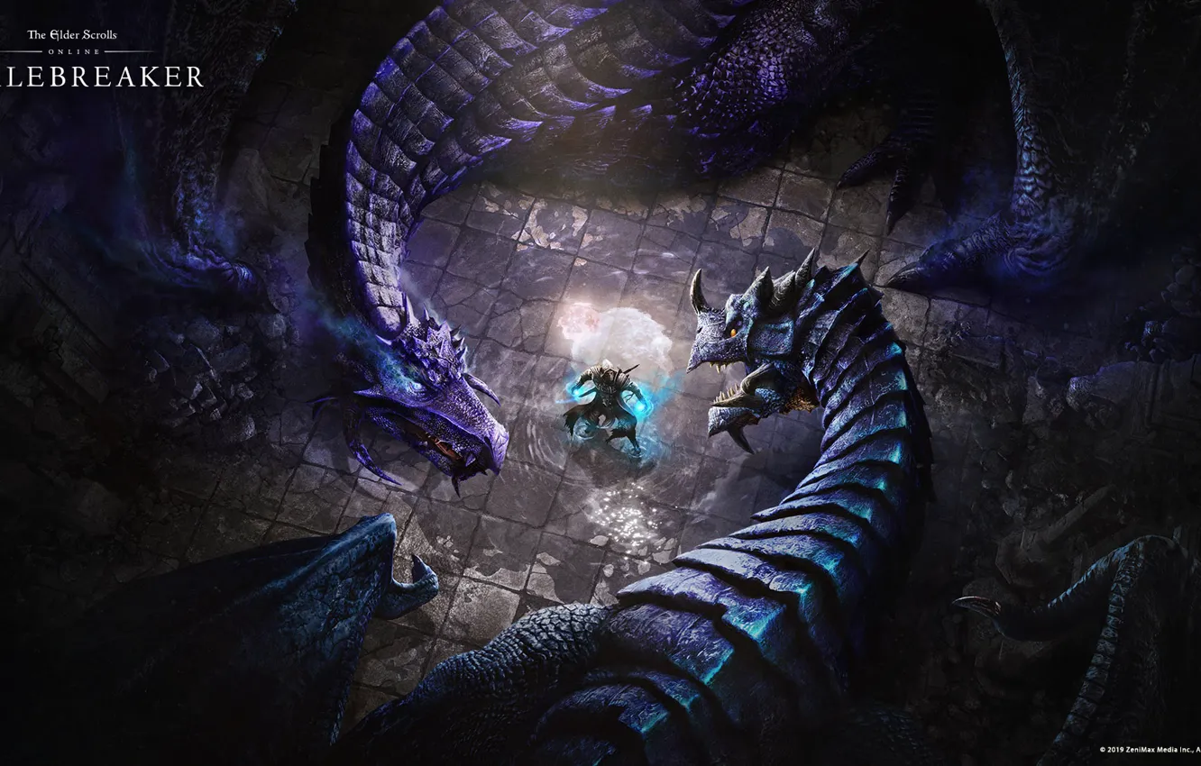 Photo wallpaper dragon, dragons, The Elder Scrolls Online, tes online, BRETON, Breton, THE ELDER SCROLLS ONLINE: SCALEBREAKER