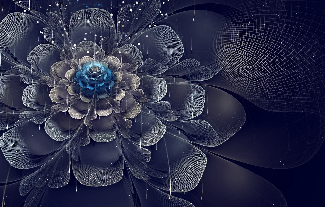 Photo wallpaper flowers, mesh, petals, art