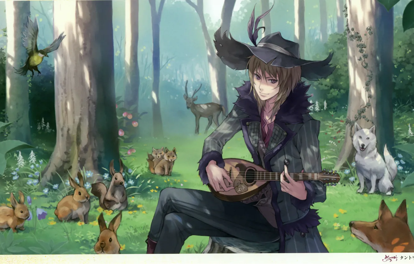 Photo wallpaper wolf, hat, deer, rabbits, Fox, musician, musical instrument, into the woods