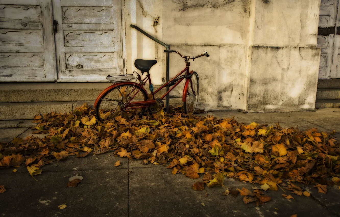 Photo wallpaper autumn, bike, the city, HDR