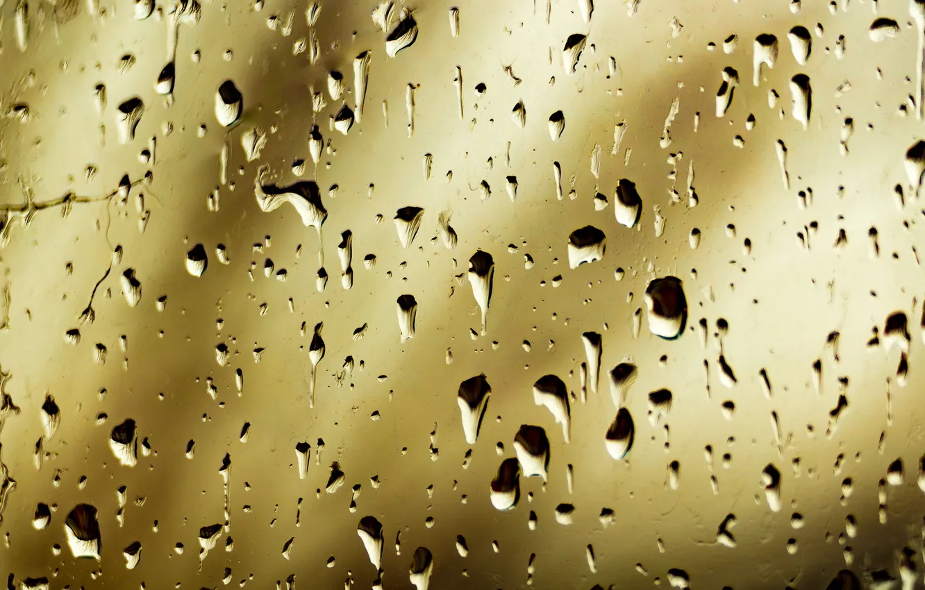 Photo wallpaper water, drops, surface