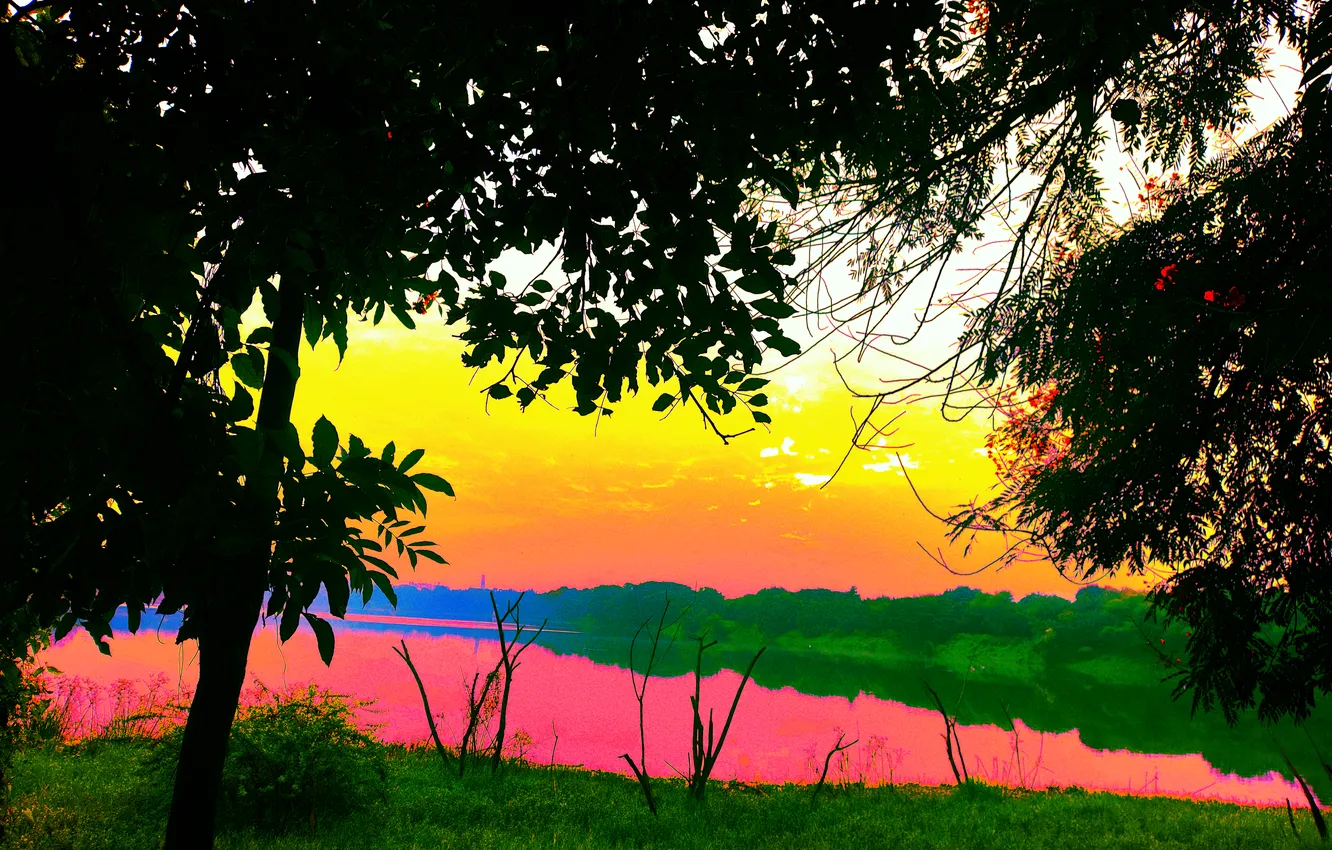 Photo wallpaper grass, sky, trees, water, lake, morning, sun, bushes