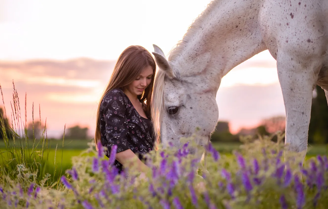 Photo wallpaper girl, nature, horse