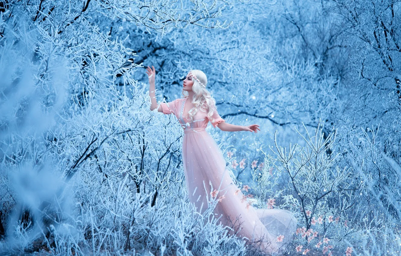 Photo wallpaper winter, forest, girl, snow, trees, flowers, branches, pose