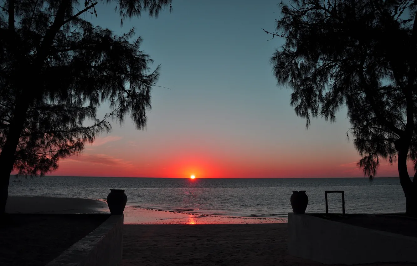 Photo wallpaper sea, beach, the sun, trees, sunset