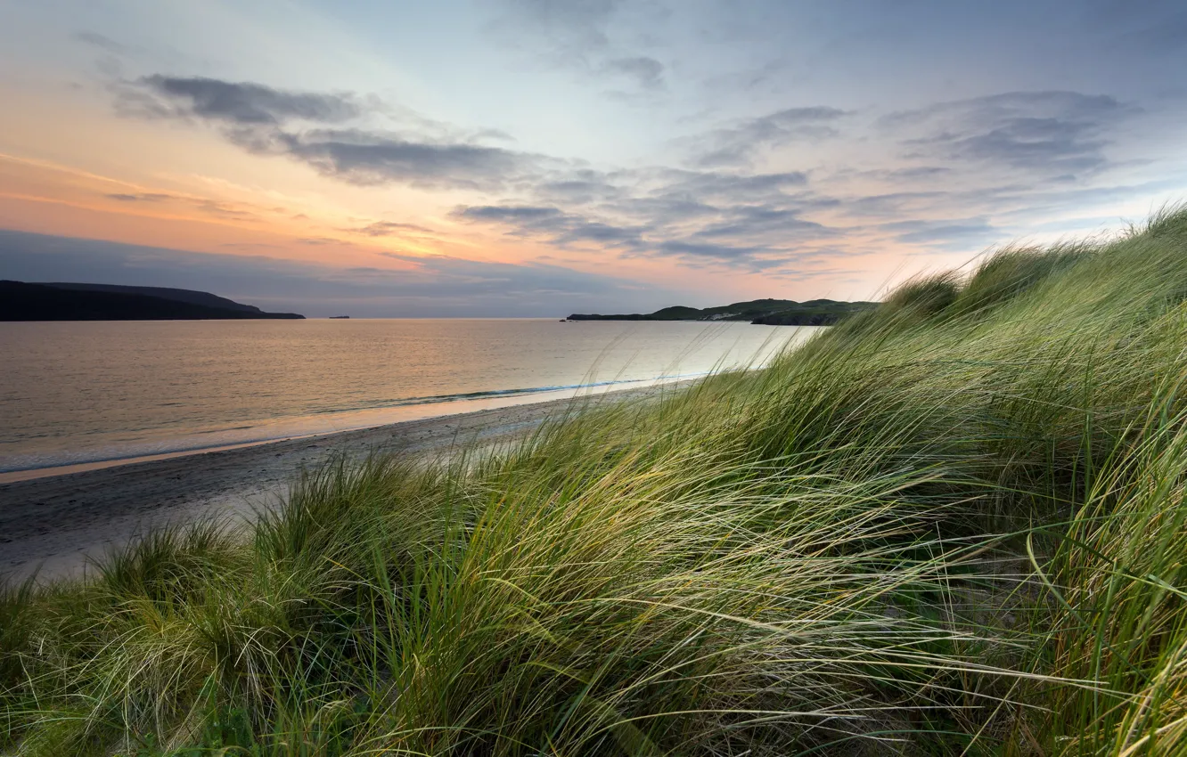 Photo wallpaper sea, grass, landscape, sunset