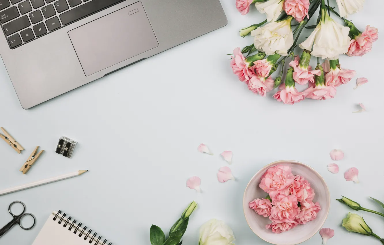 Photo wallpaper flowers, style, pencil, laptop, clove