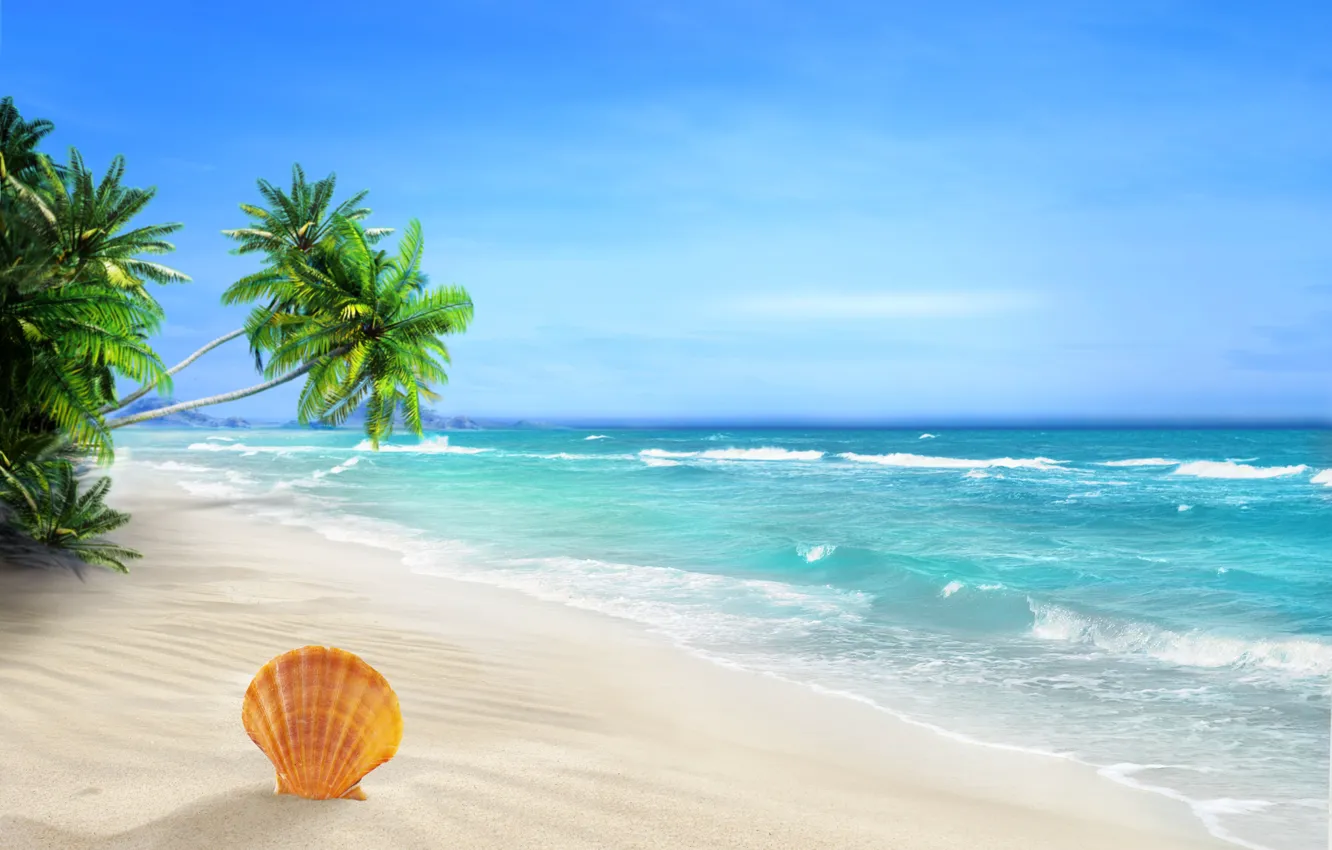 Photo wallpaper sea, sand, seashell, palms, tropical beach