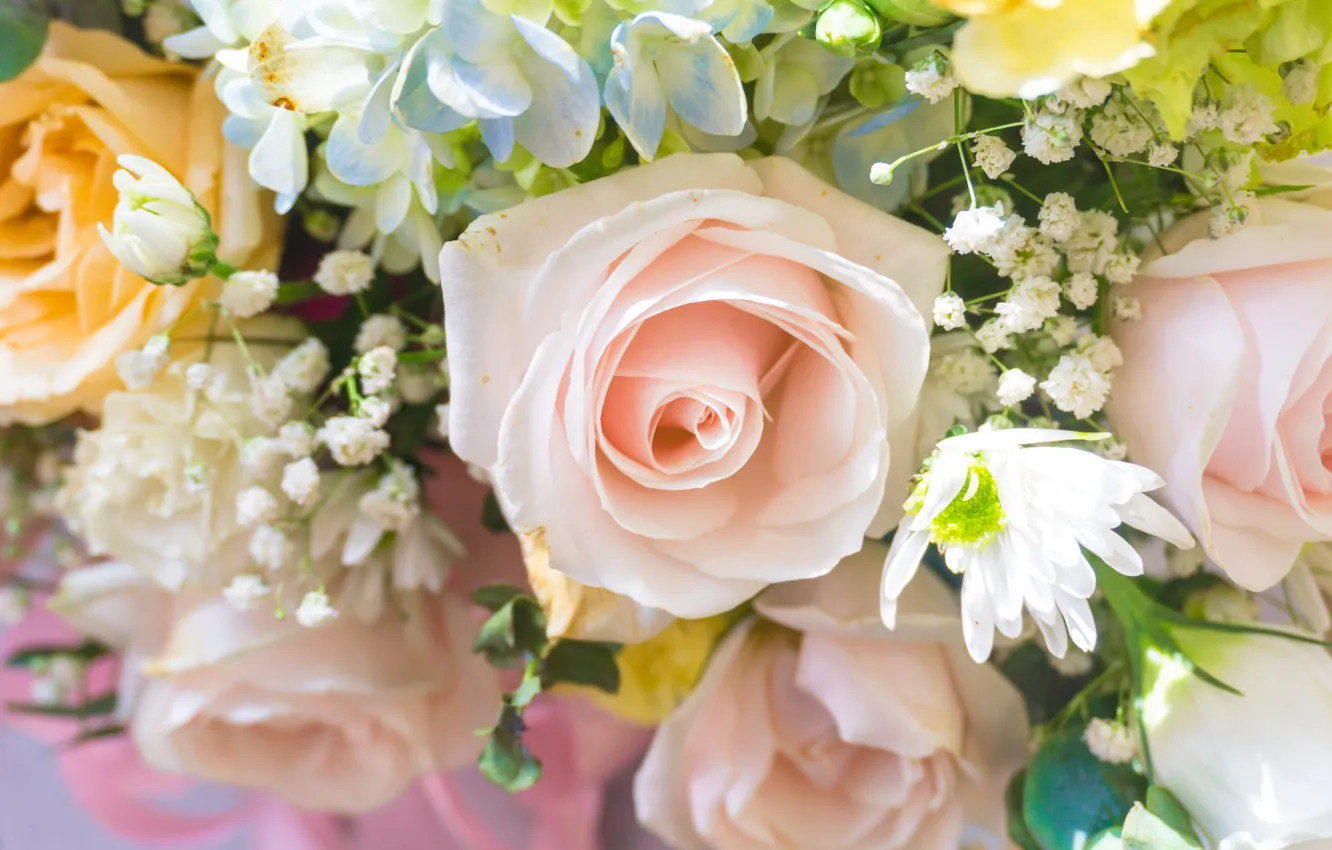 Photo wallpaper flowers, yellow, roses, bouquet, gentle, cream, pink, white
