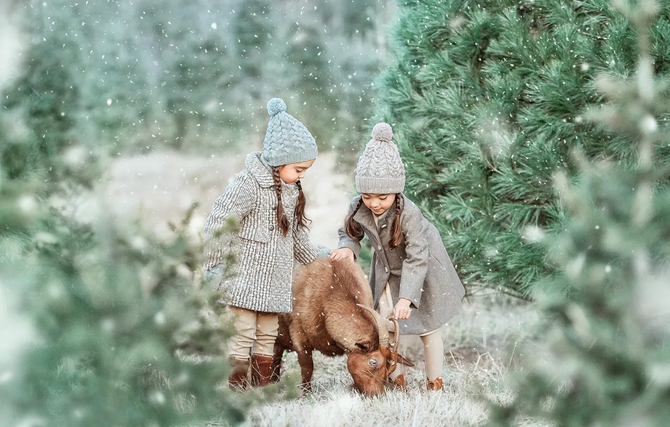Photo wallpaper forest, snow, trees, mood, goat, sisters, two girls
