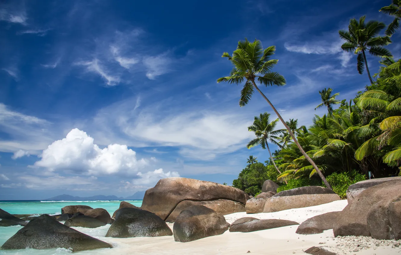 Photo wallpaper beach, tropics, stones, palm trees, the ocean, coast, Seychelles