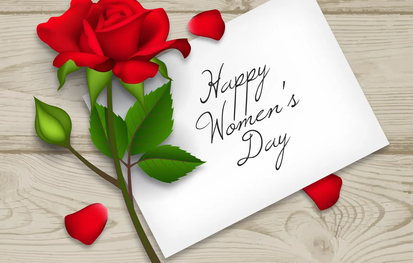 Photo wallpaper red, rose, red rose, happy, flower, March 8, women's day, 8 march