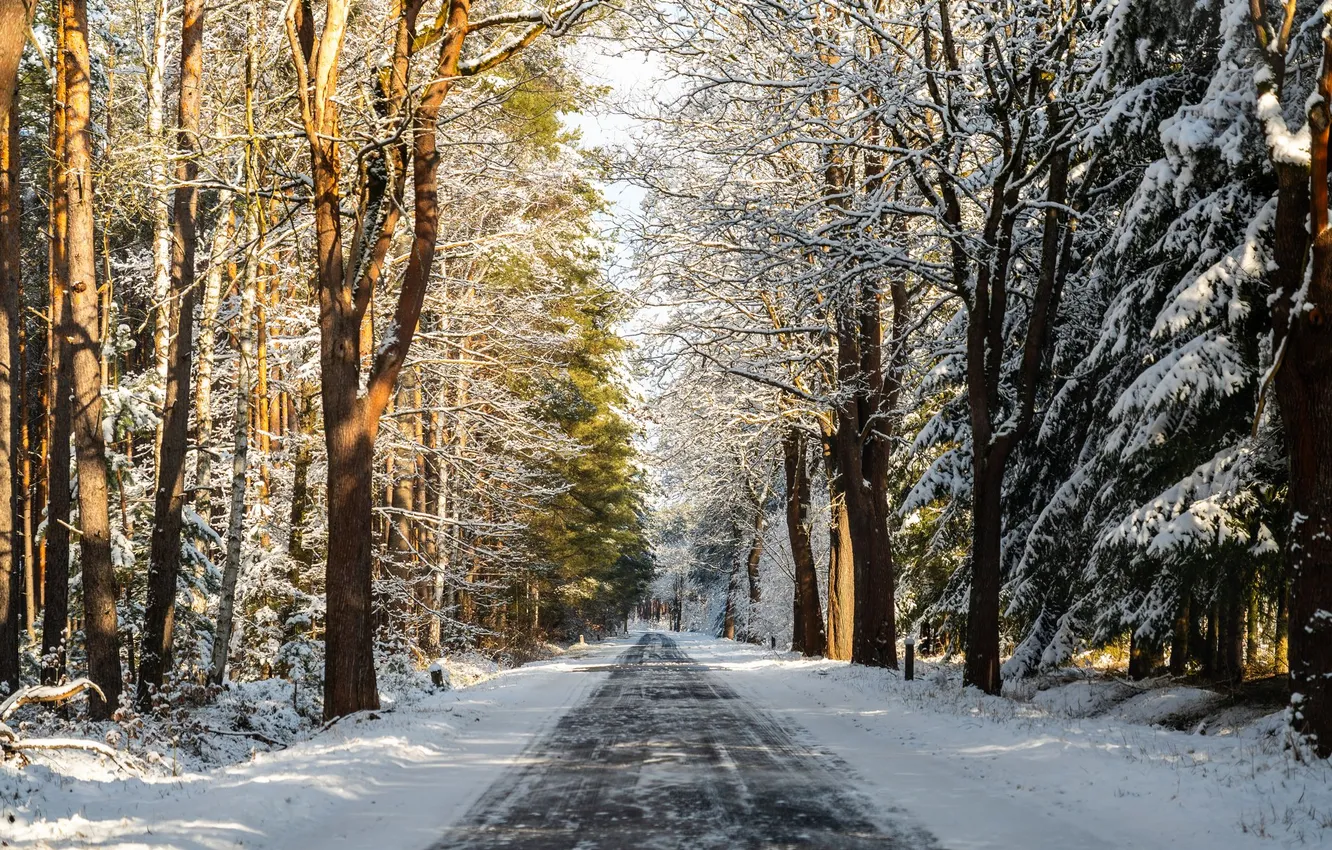 Photo wallpaper road, snow, cold