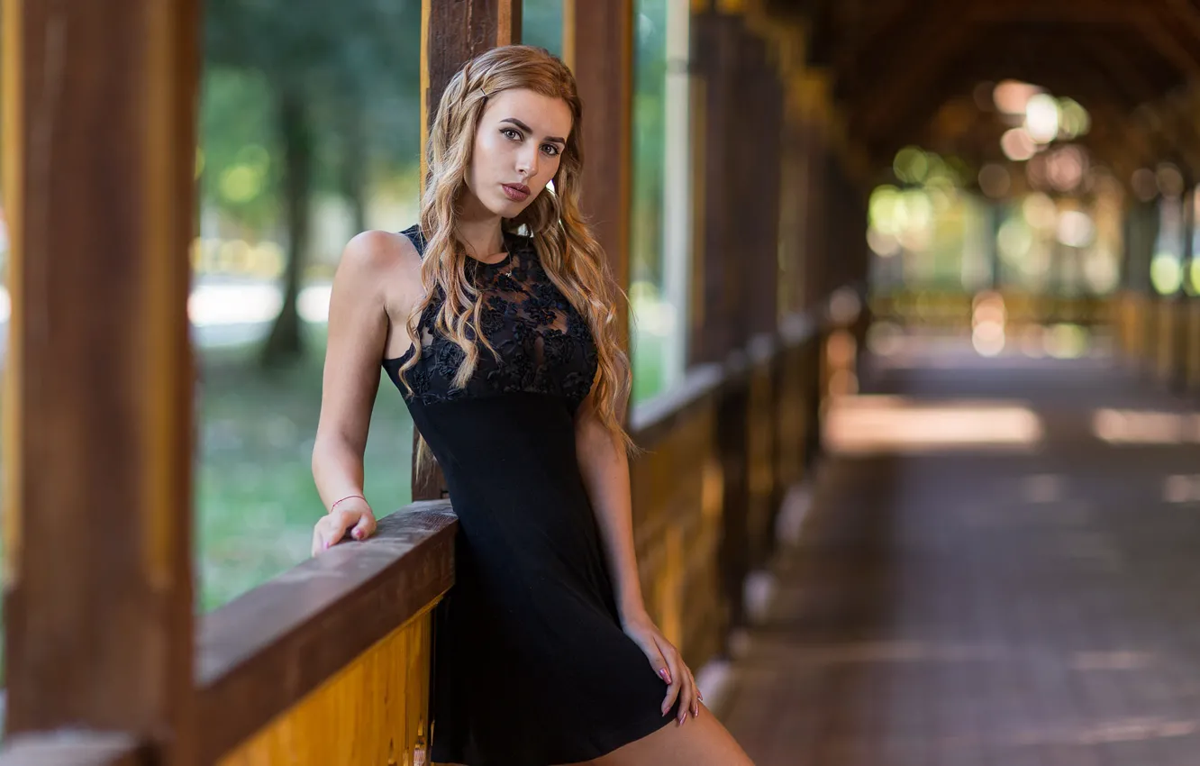 Photo wallpaper legs, sponge, curls, Andrea Carretta