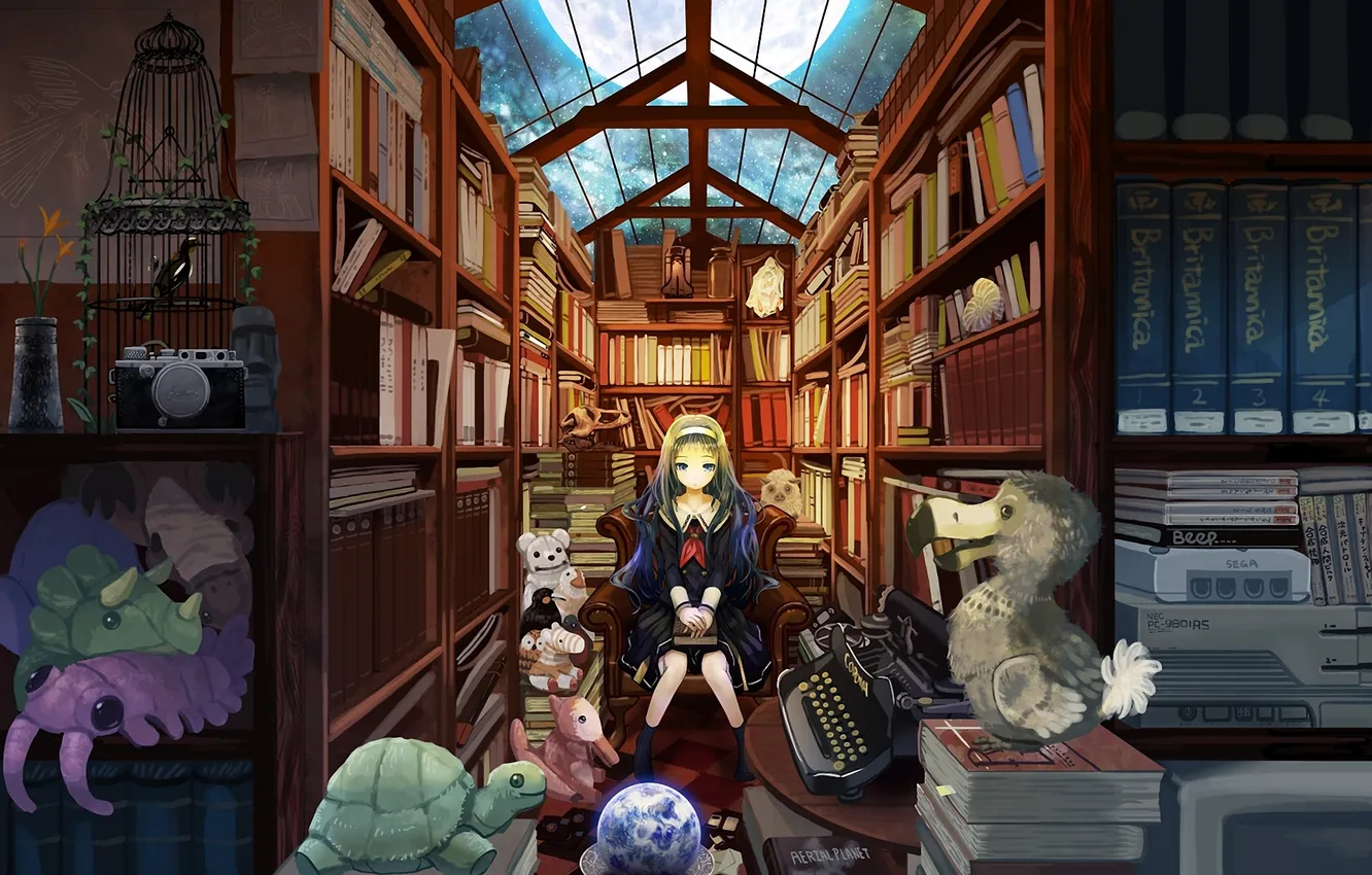 Photo wallpaper night, the moon, toys, books, cell, art, girl, library